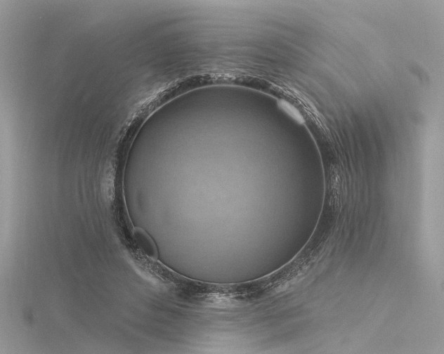 X0000116300496200911301444