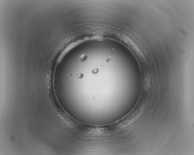 X0000116300497200911301444