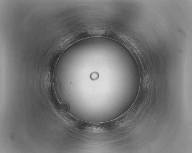 X0000116300498200911301444