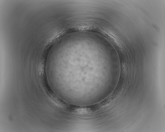 X0000116300499200911301444