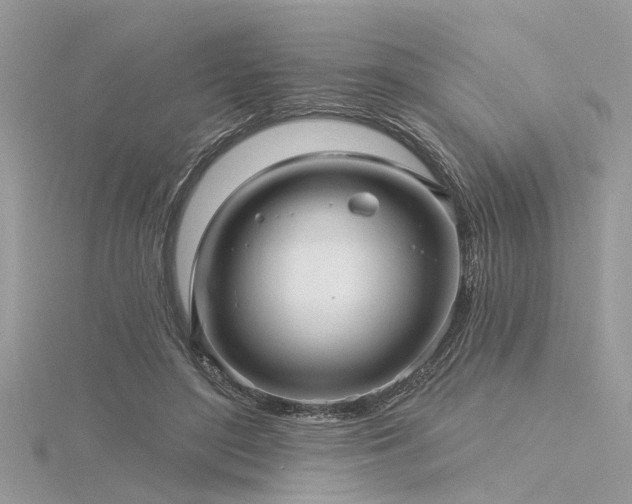 X0000116300500200911301444