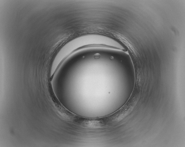 X0000116300501200911301444