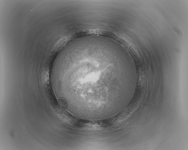 X0000116300502200911301444