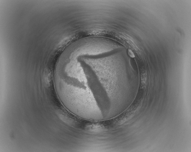 X0000116300503200911301444