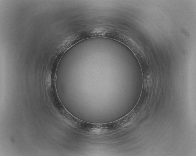 X0000116300504200911301444