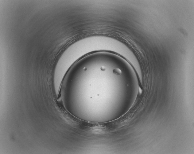 X0000116300505200911301444