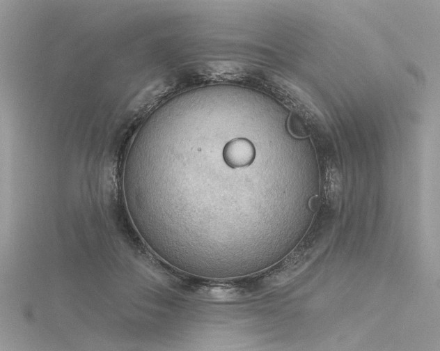 X0000116300506200911301444