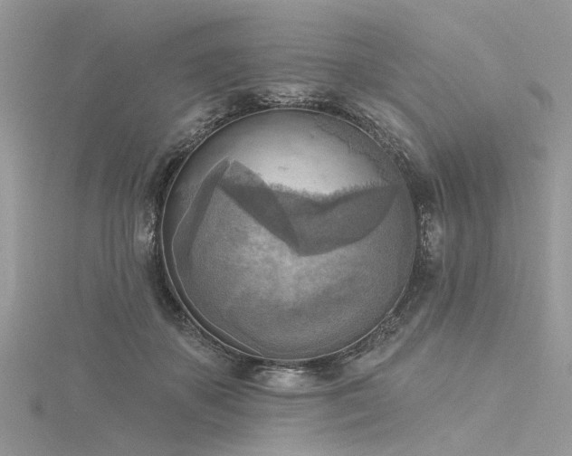 X0000116300507200911301444