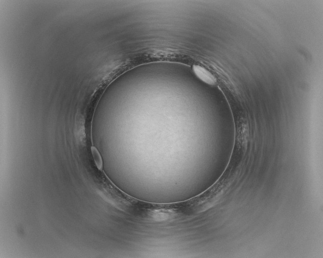 X0000116300508200911301444