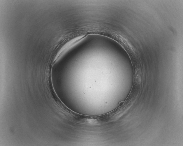 X0000116300509200911301444