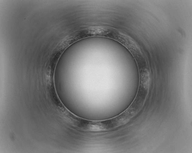 X0000116300510200911301444