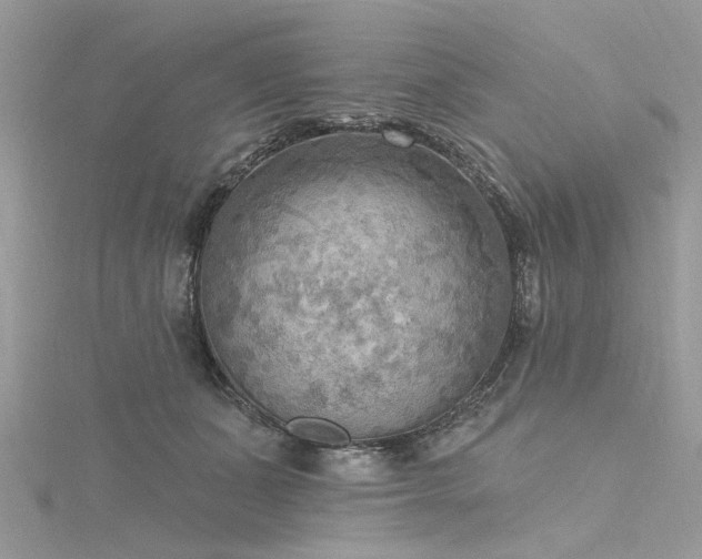 X0000116300511200911301444