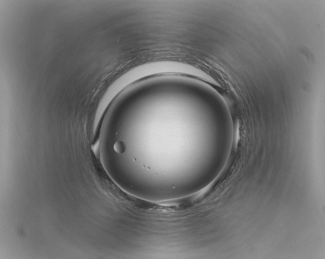 X0000116300512200911301444