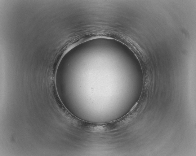 X0000116300513200911301444