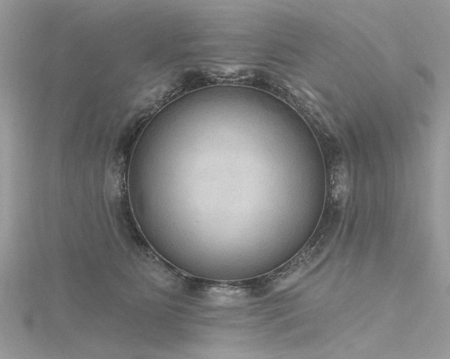 X0000116300515200911301444