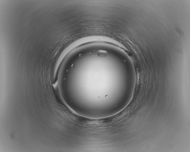 X0000116300516200911301444