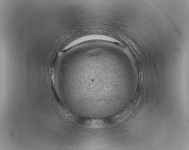 X0000116300517200911301444