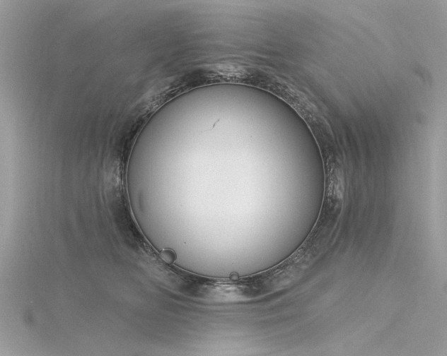 X0000116300518200911301444