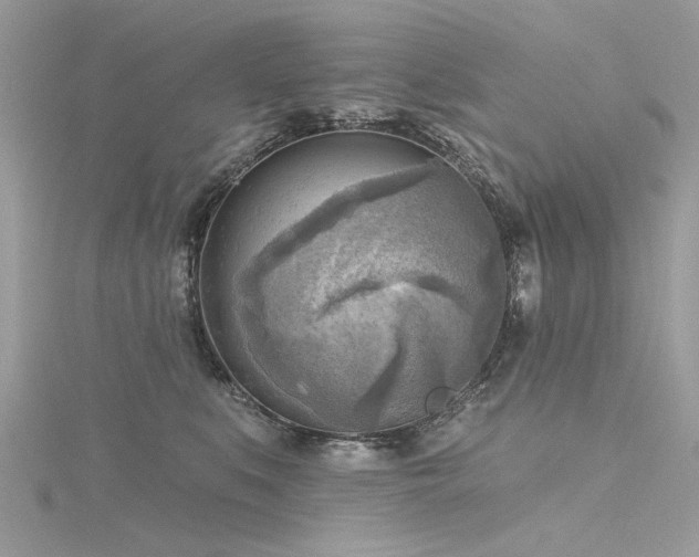 X0000116300519200911301444