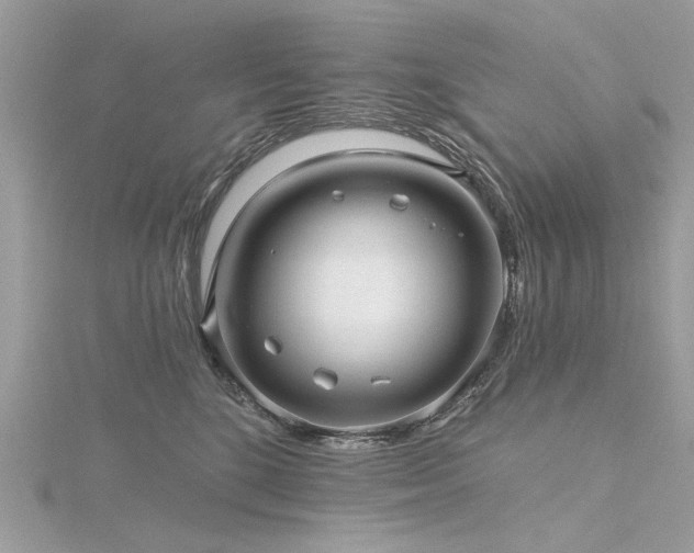 X0000116300520200911301444