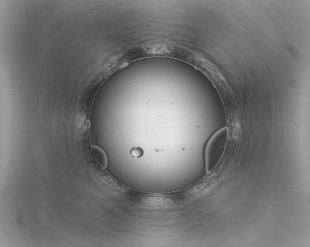 X0000116300521200911301444