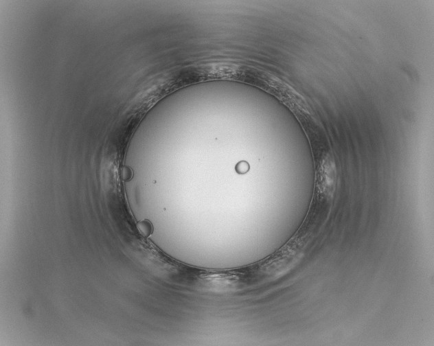 X0000116300522200911301444