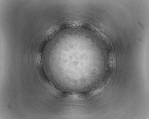 X0000116300523200911301444