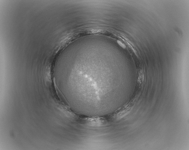 X0000116300524200911301444