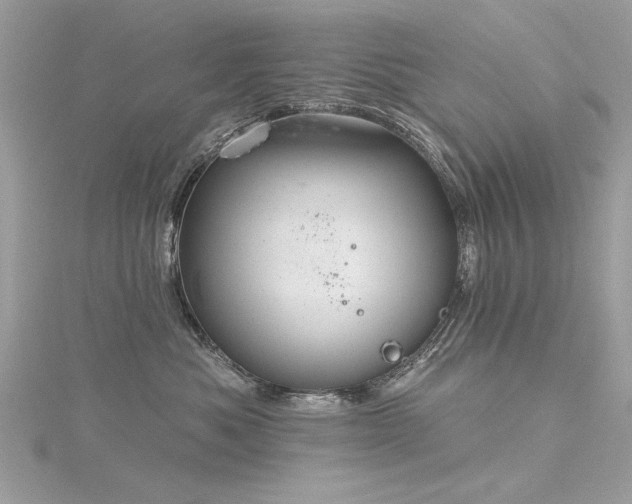 X0000116300525200911301444