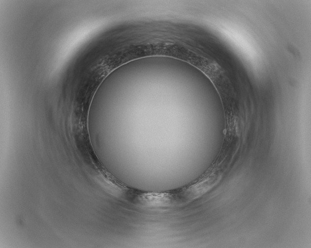 X0000116300526200911301444