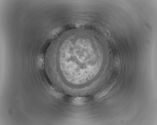 X0000116300527200911301444