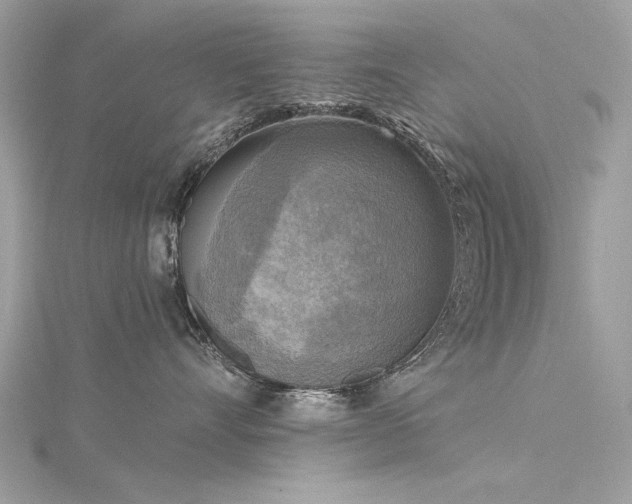 X0000116300528200911301444