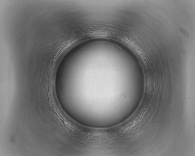 X0000116300529200911301443