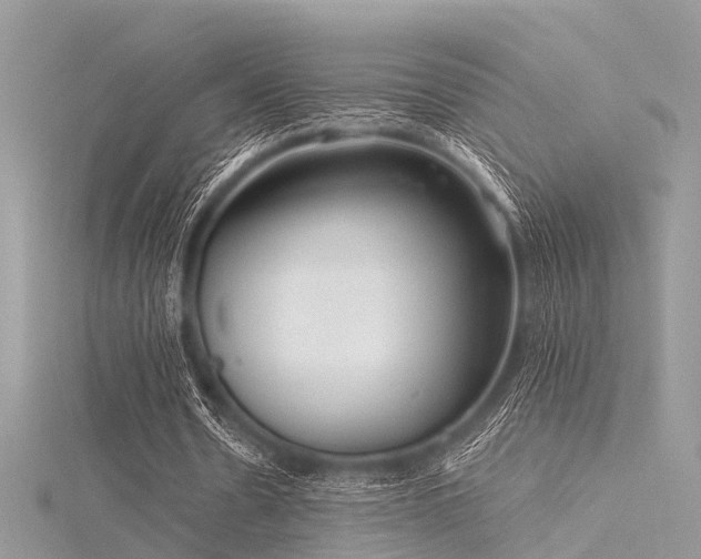 X0000116300530200911301443