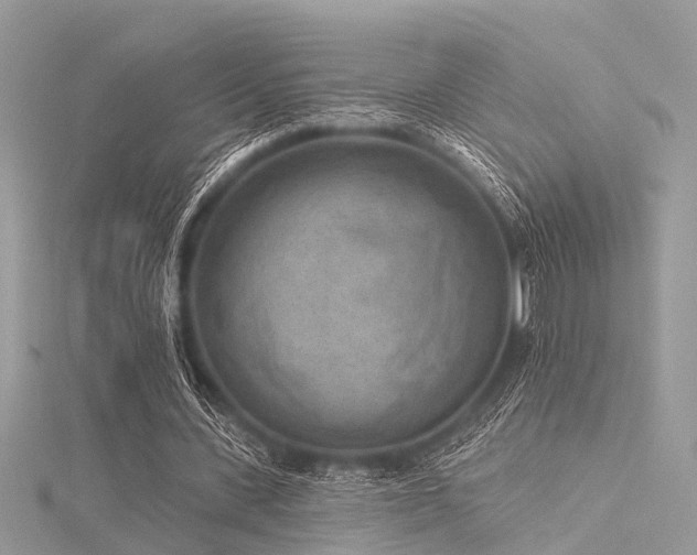 X0000116300531200911301443