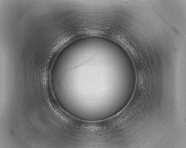 X0000116300533200911301443