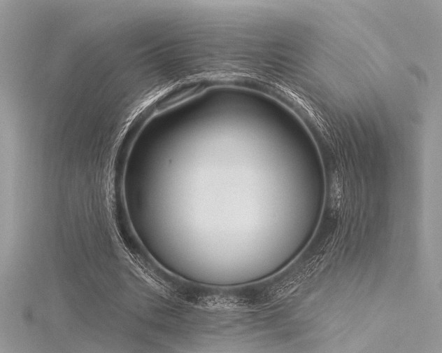 X0000116300535200911301443