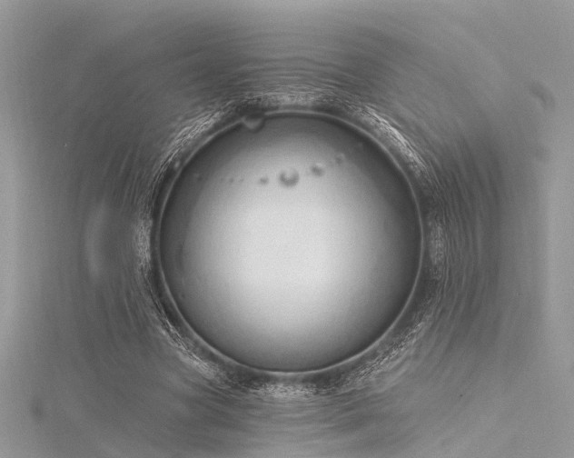 X0000116300537200911301444