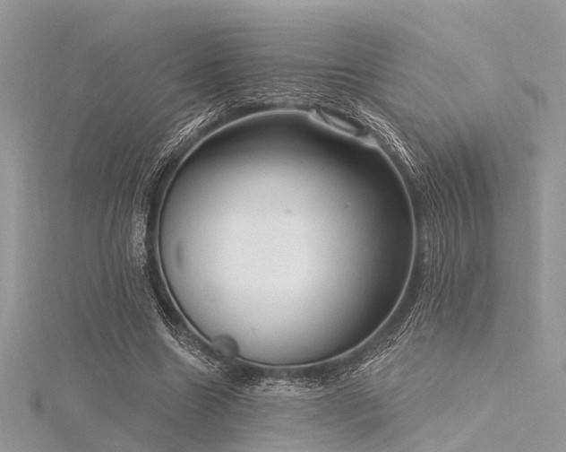 X0000116300538200911301444