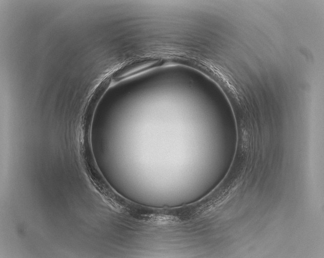 X0000116300539200911301444