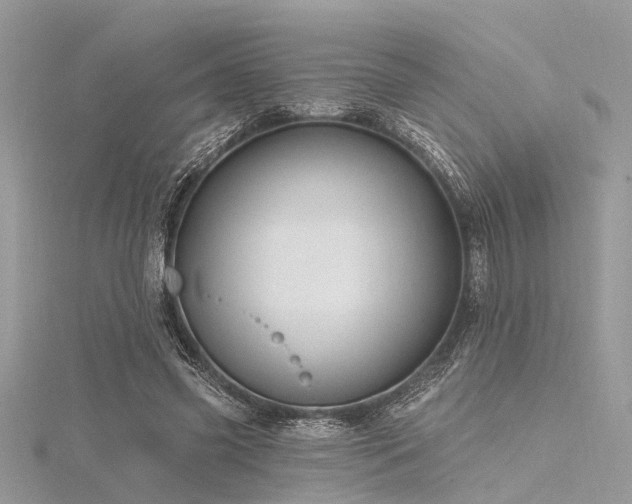 X0000116300541200911301444