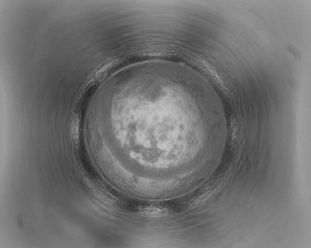 X0000116300542200911301444