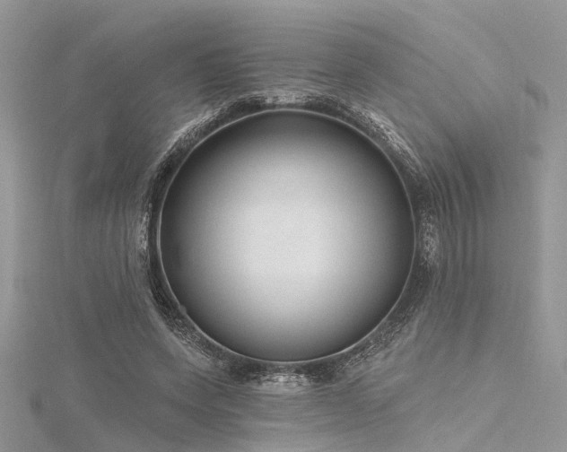 X0000116300543200911301444