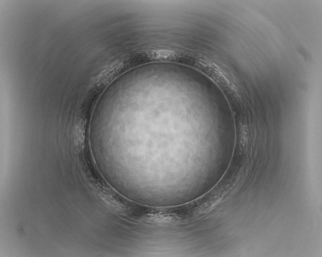 X0000116300545200911301444