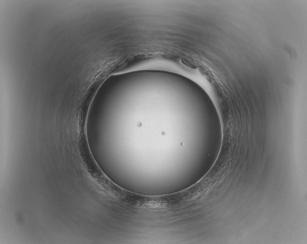 X0000116300546200911301444