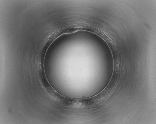 X0000116300547200911301444