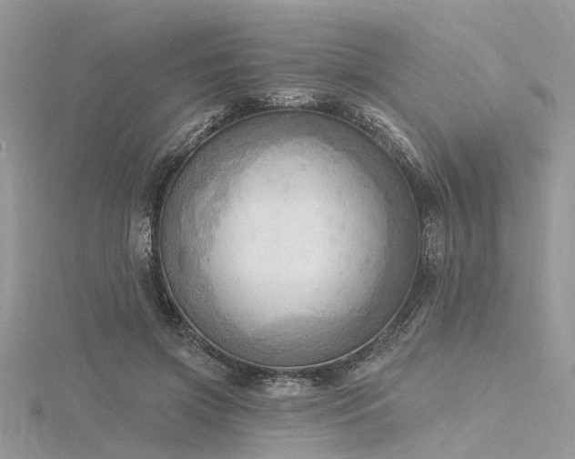 X0000116300549200911301444