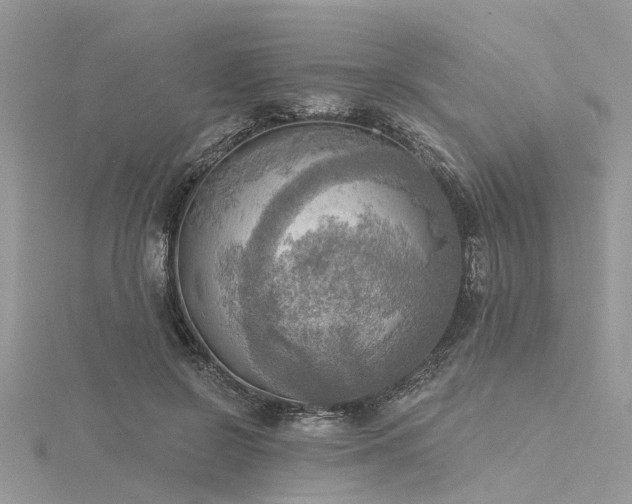 X0000116300550200911301444