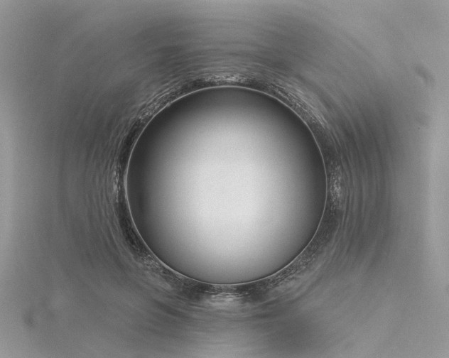 X0000116300551200911301444