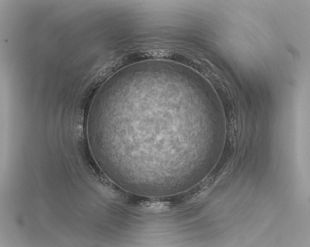 X0000116300553200911301444